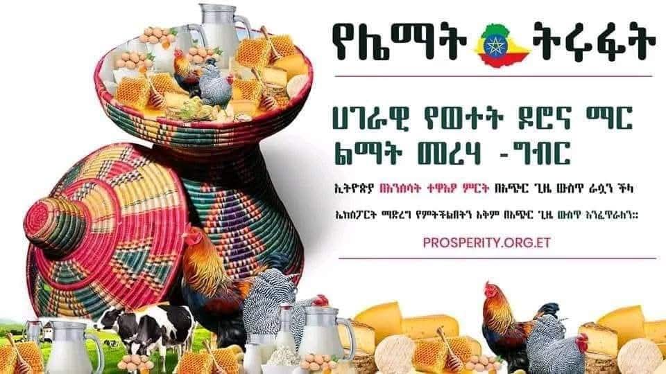 የሌማት ትሩፋት የልማት ዘመቻችን ግቦች 