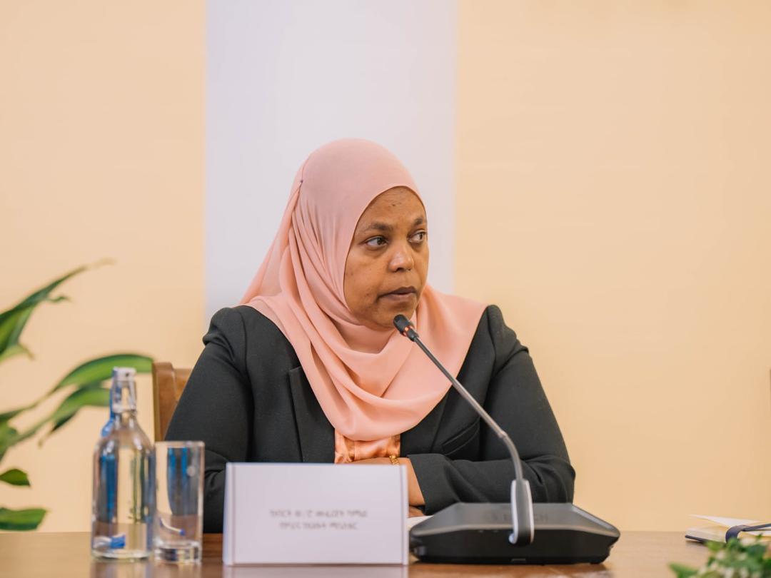 Milkaa’inoonni dameewwan diinagdee guguddoon galmaa’an lammiileef carraa hojii uumuuf gumaacha olaanaa taasisaniiru